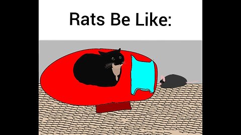 Rats Be Like: