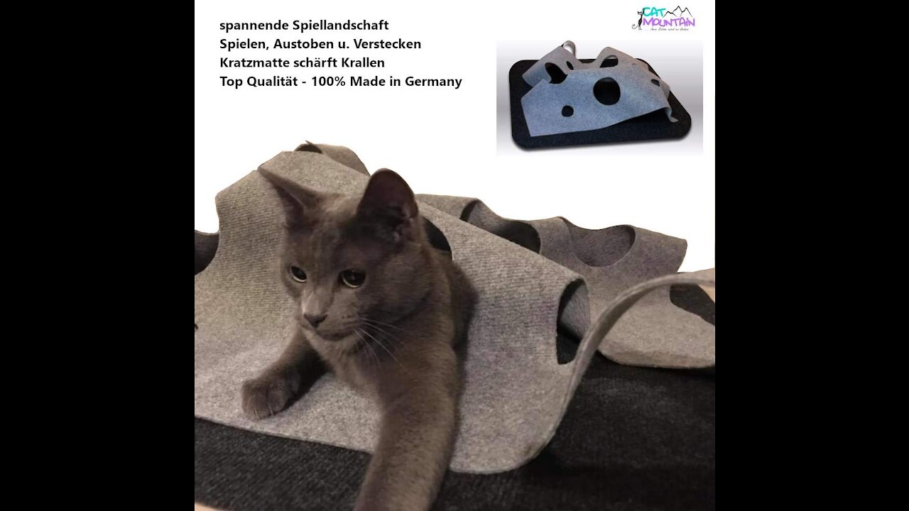 CatMountain - Katzenspielzeug und Kratzmatte - für intelligentes Spielen mit Deiner Katze