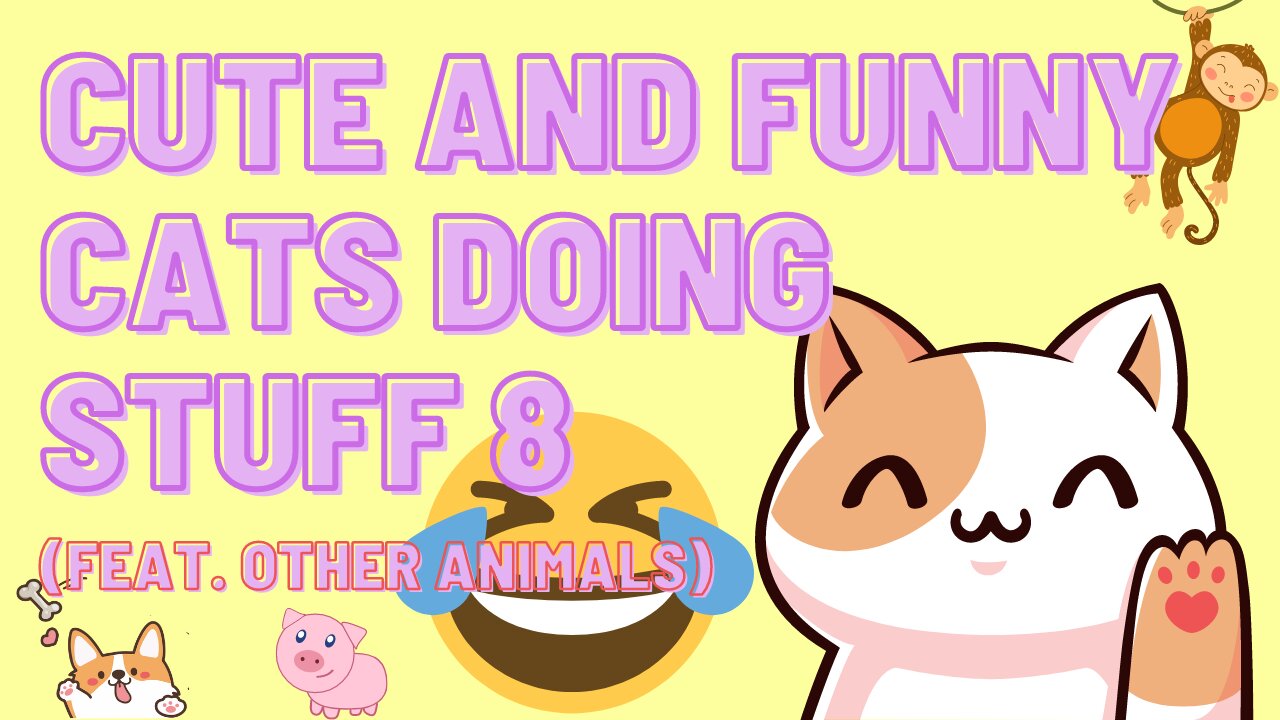 Cute and Funny Cats Doing Stuff 8 (Feat. Other Animals)