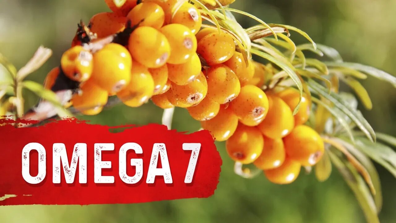 The Benefits of Omega-7 Fatty Acids - Dr. Berg on Essential Fatty Acids