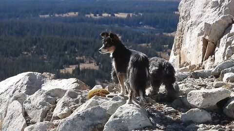 Kirye's Climate Secret