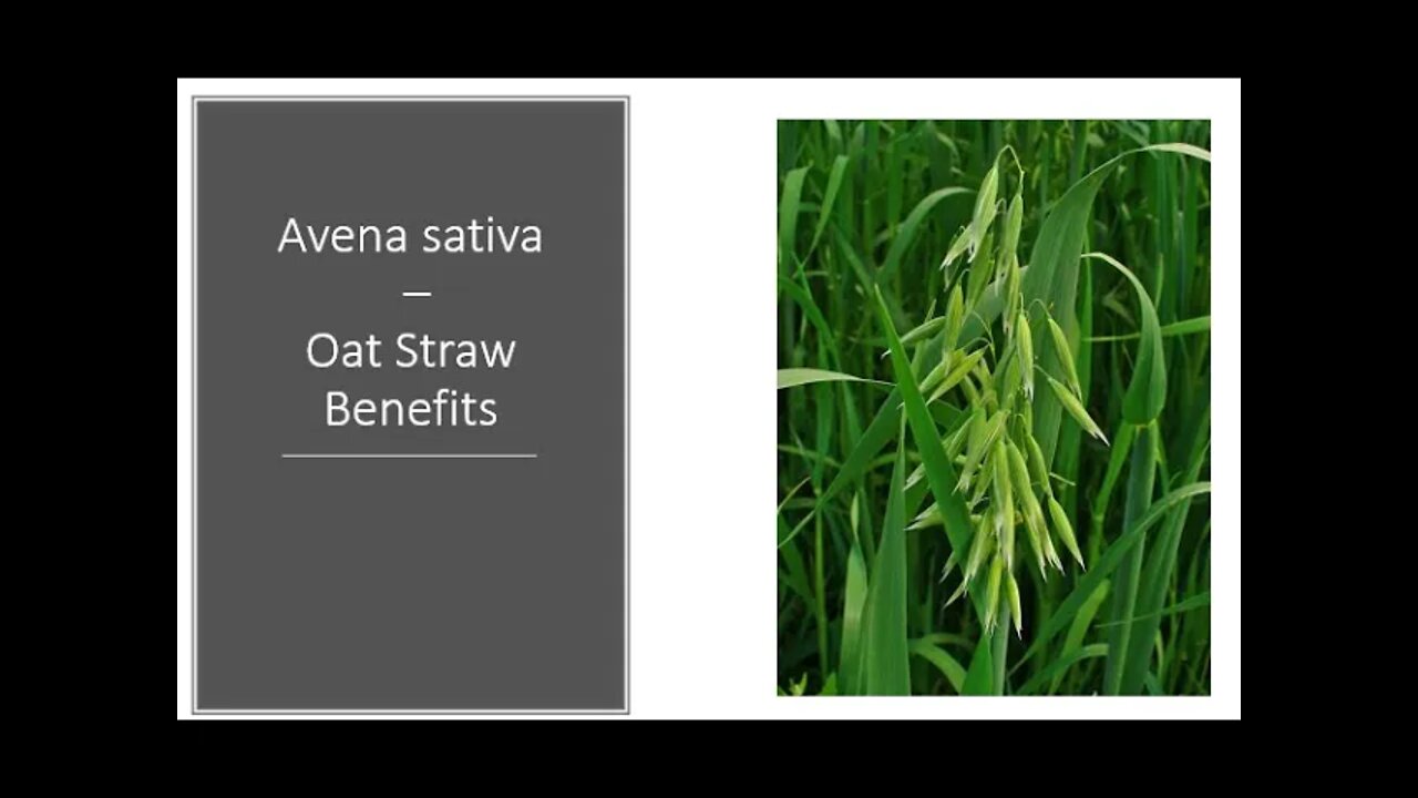 Avena sativa Benefits