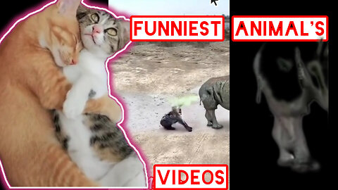 Try not to laugh 😂 | New Funniest Cats and Dogs videos 😂🙀| Funny video Part 27