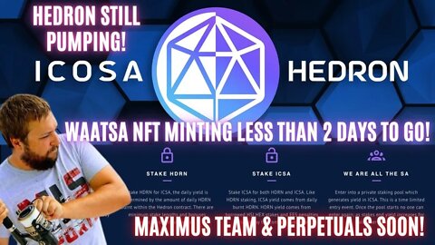 Hedron Still Pumping! Waatsa NFT Minting Less Than 2 Days To Go! Maximus Team & Perpetuals Soon!