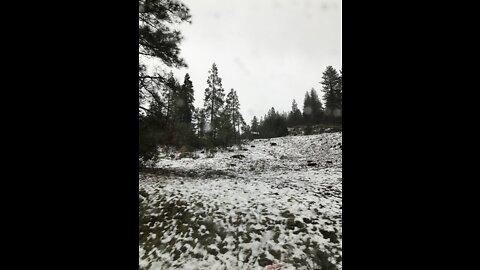 It’s Snowing! She’s Excited! Picnic in the Car.
