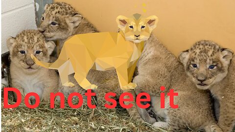 Do not see it