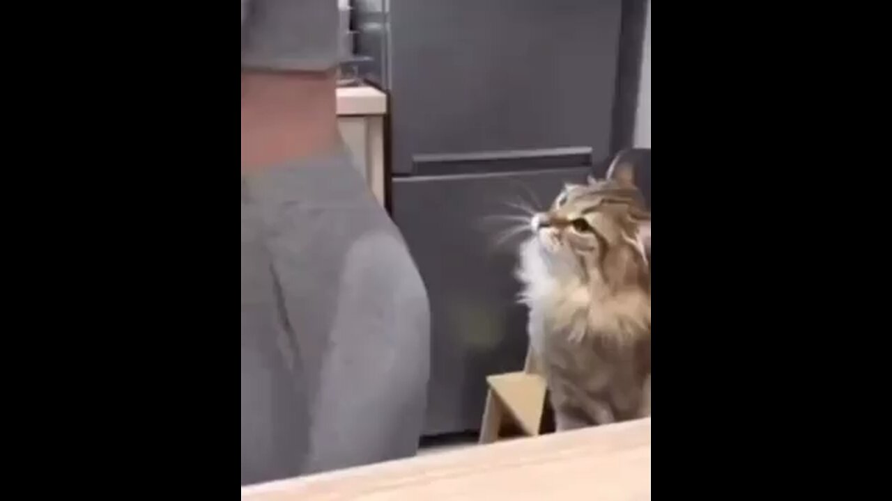Cat see her as fresh meat