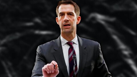 Sen. Tom Cotton CONFRONTS left-wing witnesses HEAD ON about intimidation against SCOTUS and others