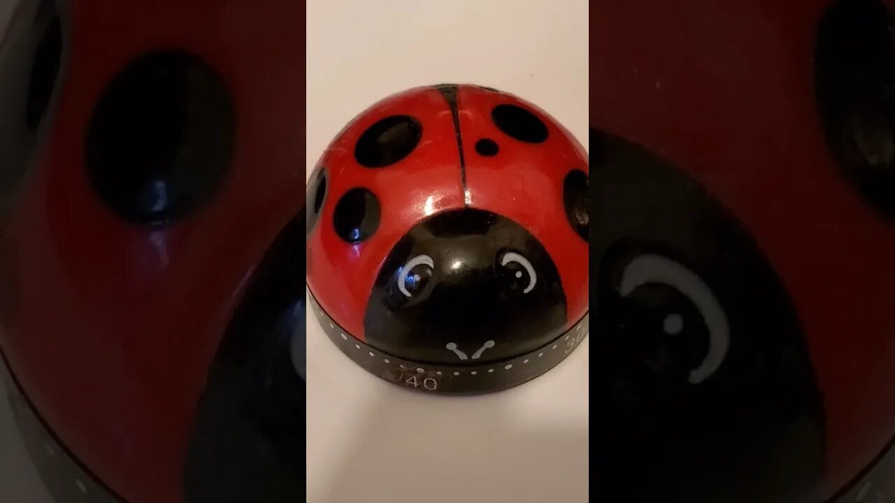 My Favorite Kitchen Timer