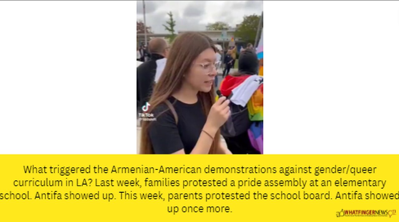 What triggered the Armenian-American demonstrations against gender/queer curriculum in LA?