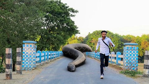 Anaconda Snake Attack On Travel Boy In Village Bridge.