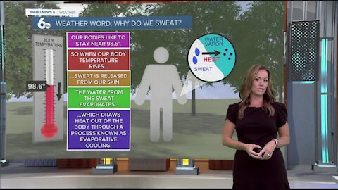 Rachel's Wednesday Weather Word: Why do we sweat?