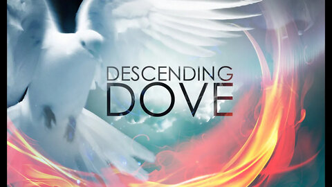 Descending Dove | Vladimir Savchuk