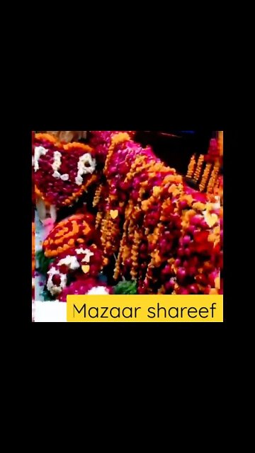 Allama Hafiz Khadim Hussan Rizvi