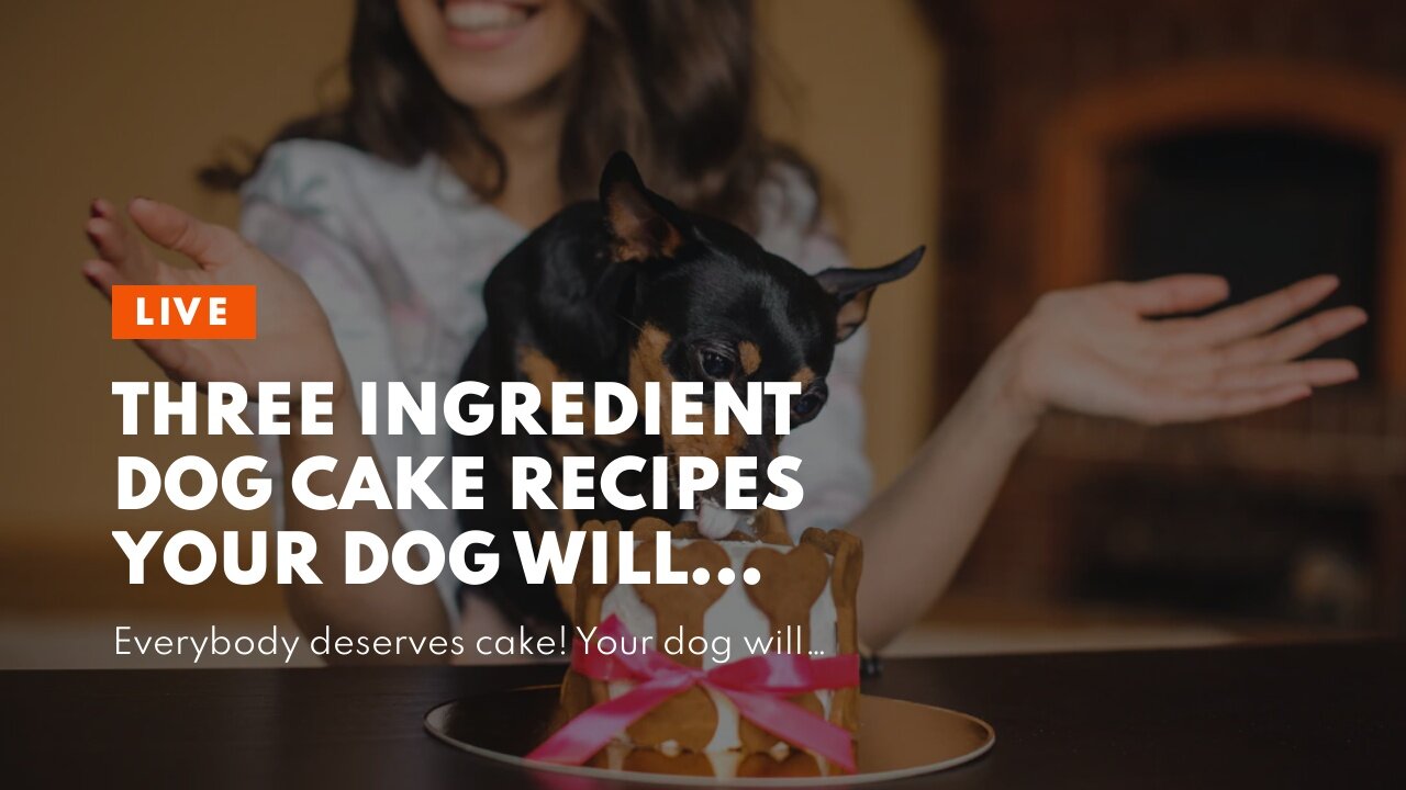 Three Ingredient Dog Cake Recipes Your Dog Will Enjoy!