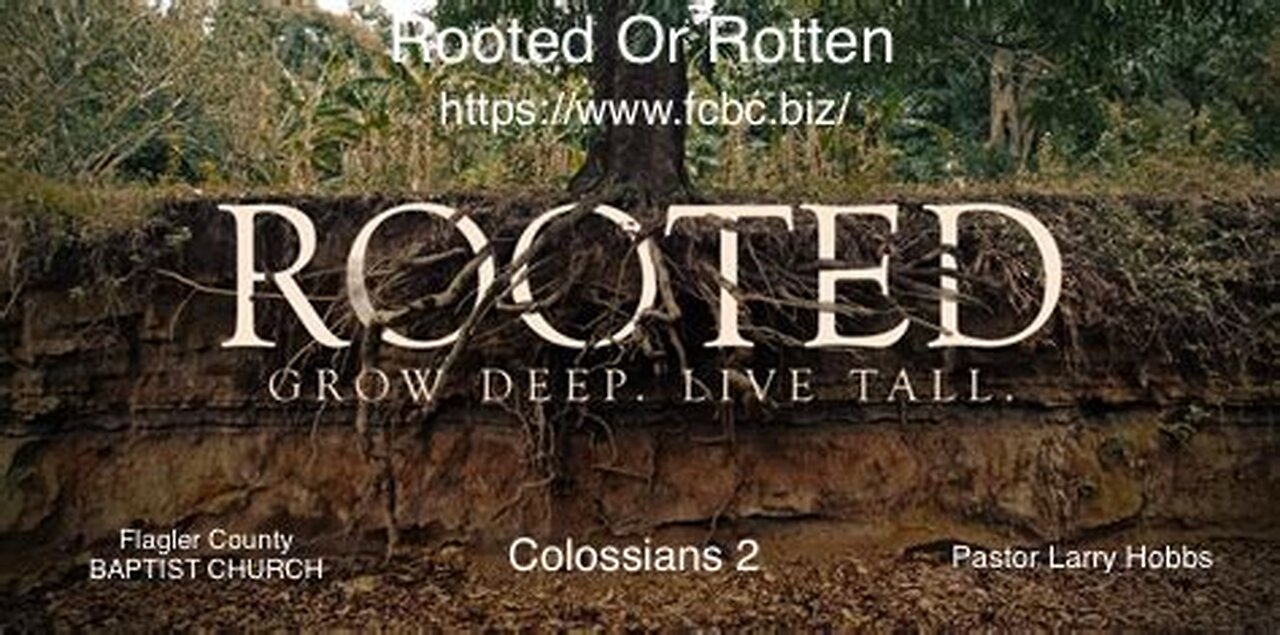 "Rooted Or Rotten"