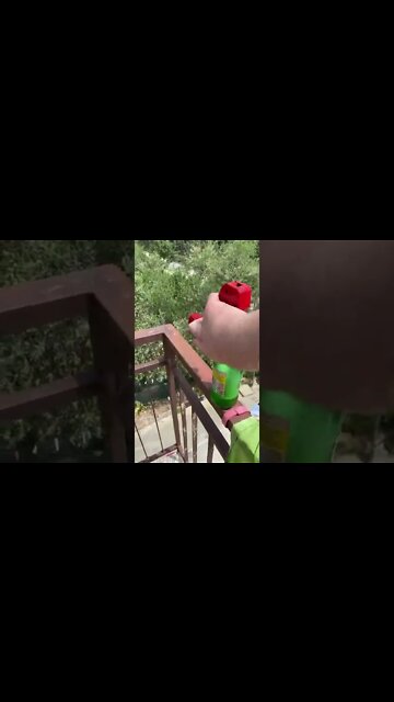 #shorts #2022 funny,prank,funjokes,dad jokes,funny memes,funny video,fun,laughing,funny animal,knock