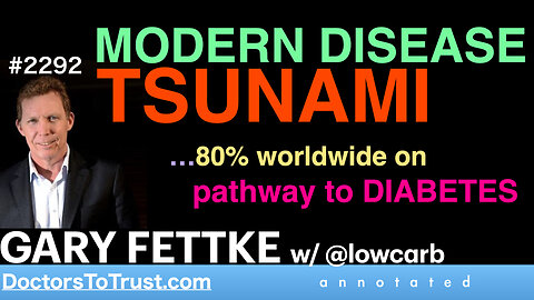 GARY FETTKE m2 | MODERN DISEASE TSUNAME…80% worldwide on pathway to diabetes