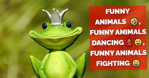 Funny animals 😄hub,funny animals club rumble, 🤣, funny animals dancing 💃, funny animals fighting