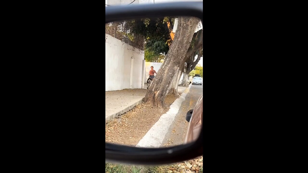 Cute dog 🤪
