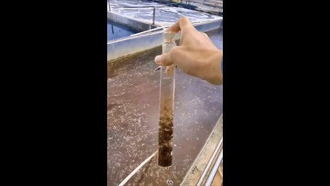 wow Instant Water filter😮