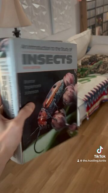 Insects book = Money