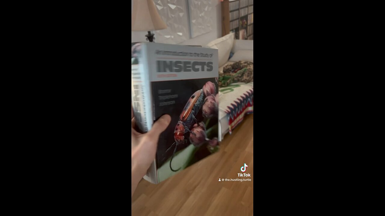 Insects book = Money