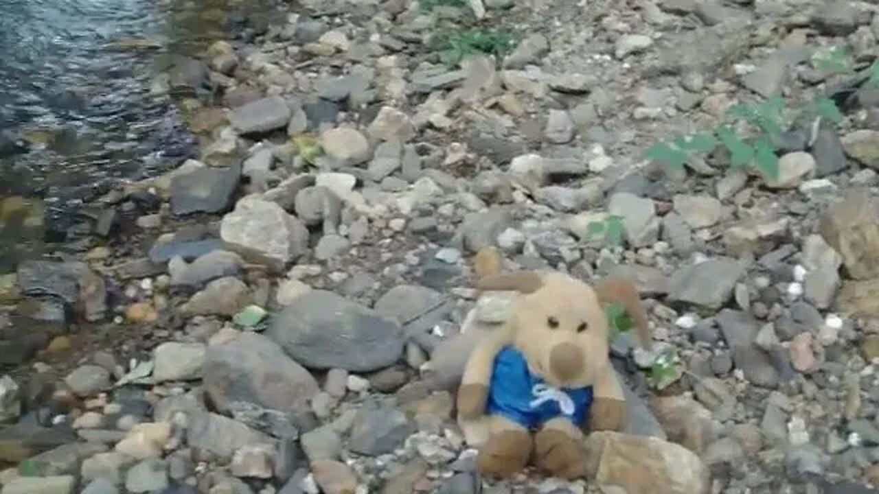 Wags caught him one!