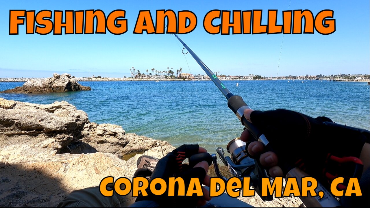 Fishing On A Cozy Mini Cliff ᐠ( ᐛ )ᐟ Corona Del Mar, CA