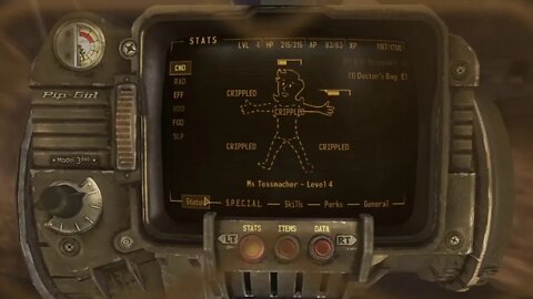 Fallout New Vegas: The Frontier (Countdown #2)