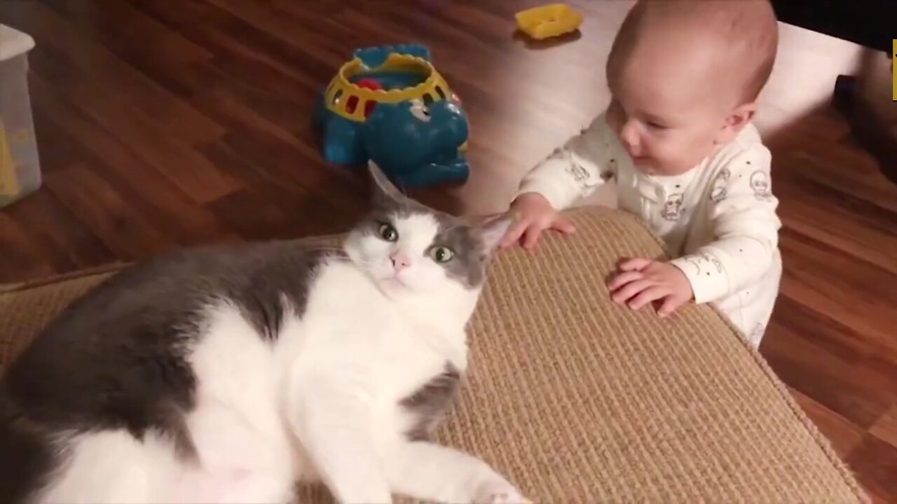 Kids And Cats Funny Videos