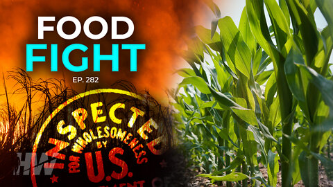 Episode 282: FOOD FIGHT