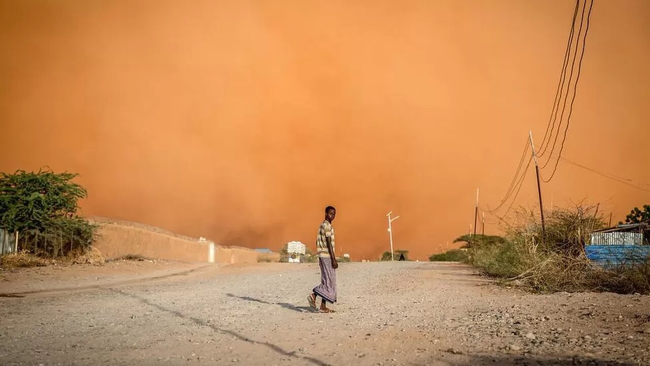 Up to 75% of the world could be facing drought by 2050 - BBC News