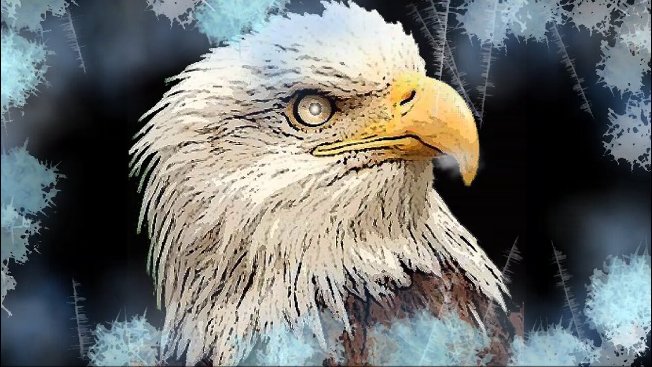 📽️ 🎞️ Thursday Night Docu - 7:30pm EST 8/1/24 - 100% Free Speech Chat ..