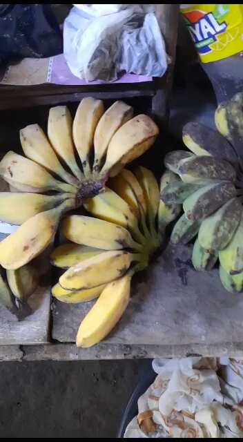 Bananas