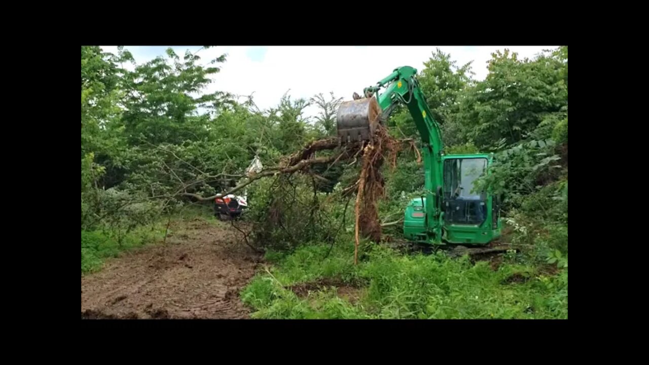 Clearing land with mini excavator. PART 2 of 3. Takeuchi & Bobcat e42 R series