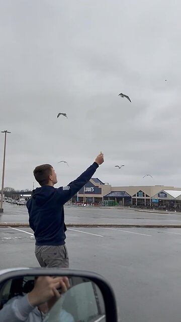 Feeding birds Chick-fil-A