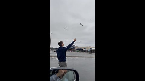 Feeding birds Chick-fil-A