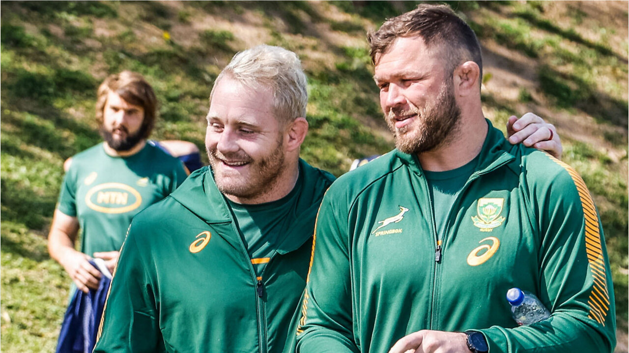 Bok coach on Duane Vermeulen and Frans Steyn