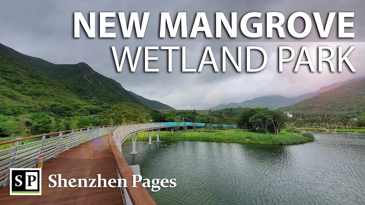 Beautiful Dongchong Mangrove Wetland Park in Dapeng, Shenzhen