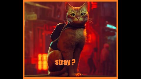 stray the reviews are out