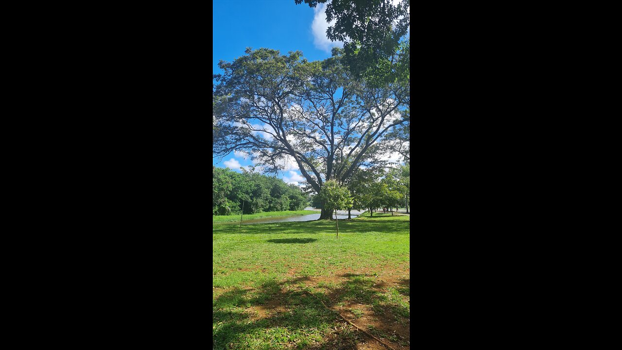 JARDIM BOTÂNICO de BH