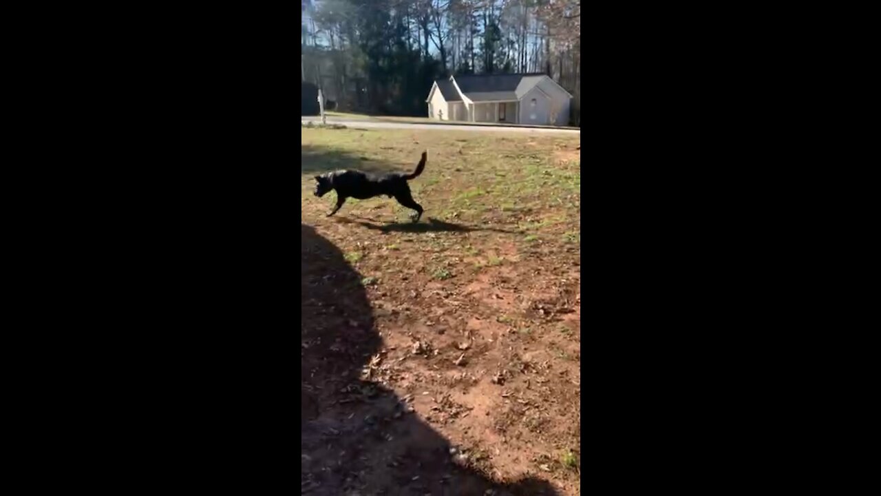 Fletcher - Jan. 8th Afternoon