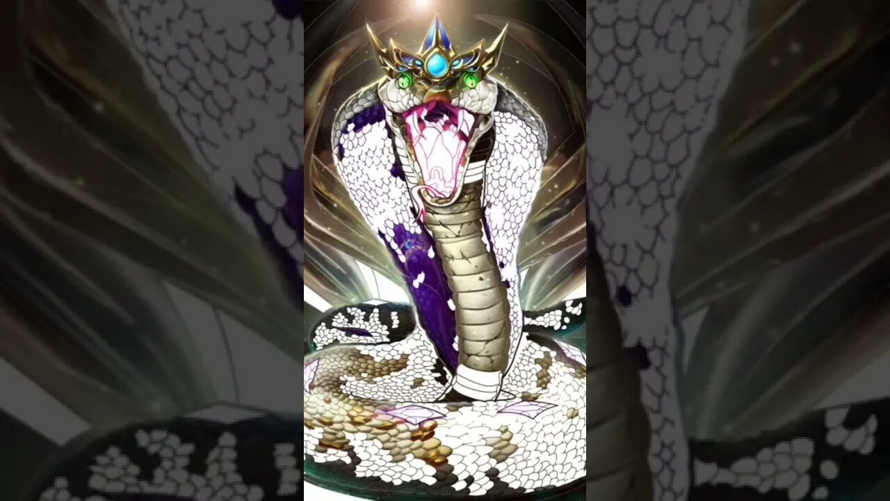 Here is a snake