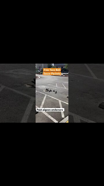 Taco Bell Sauce Spoof. No pigeons were harmed in the filming of this #Parody.