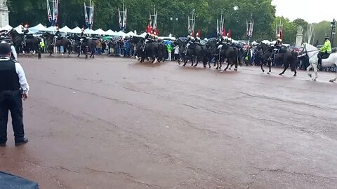 The kings Guards the blues and royals horse gets spoked out side Buckingham Palace #thekingsguard