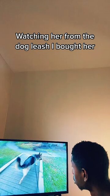 Watching Girlfriend From The Dog Leash