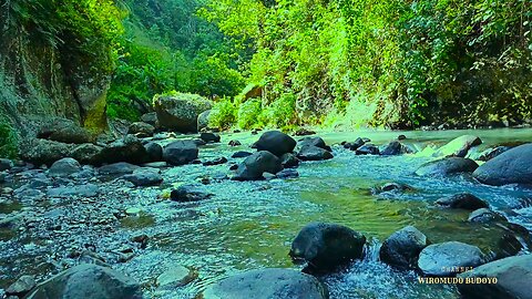 Peaceful River Dreams: ASMR for Sleep and Relaxation