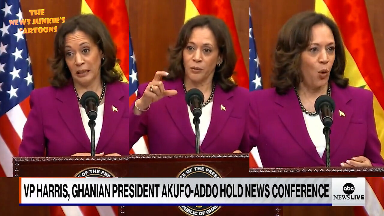 VP Kamala is on fire with her word salad in Africa: "Think about what that means in terms of potential... in terms of the, the..."