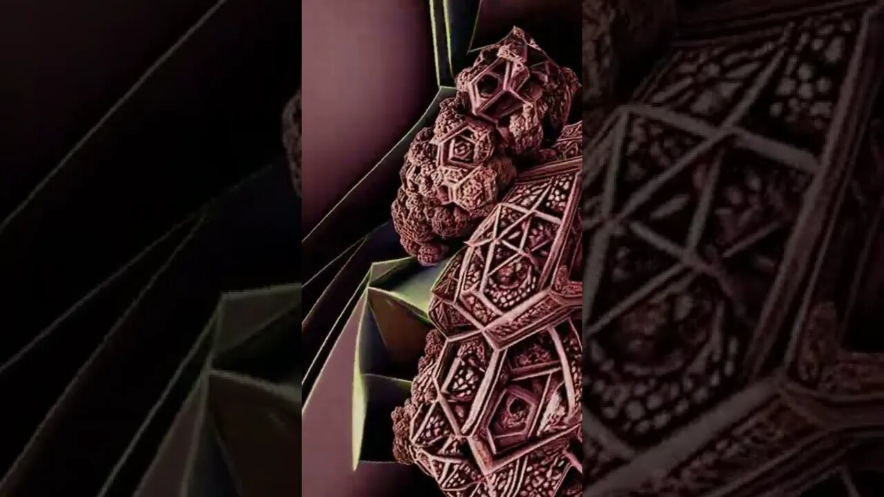 Opinion